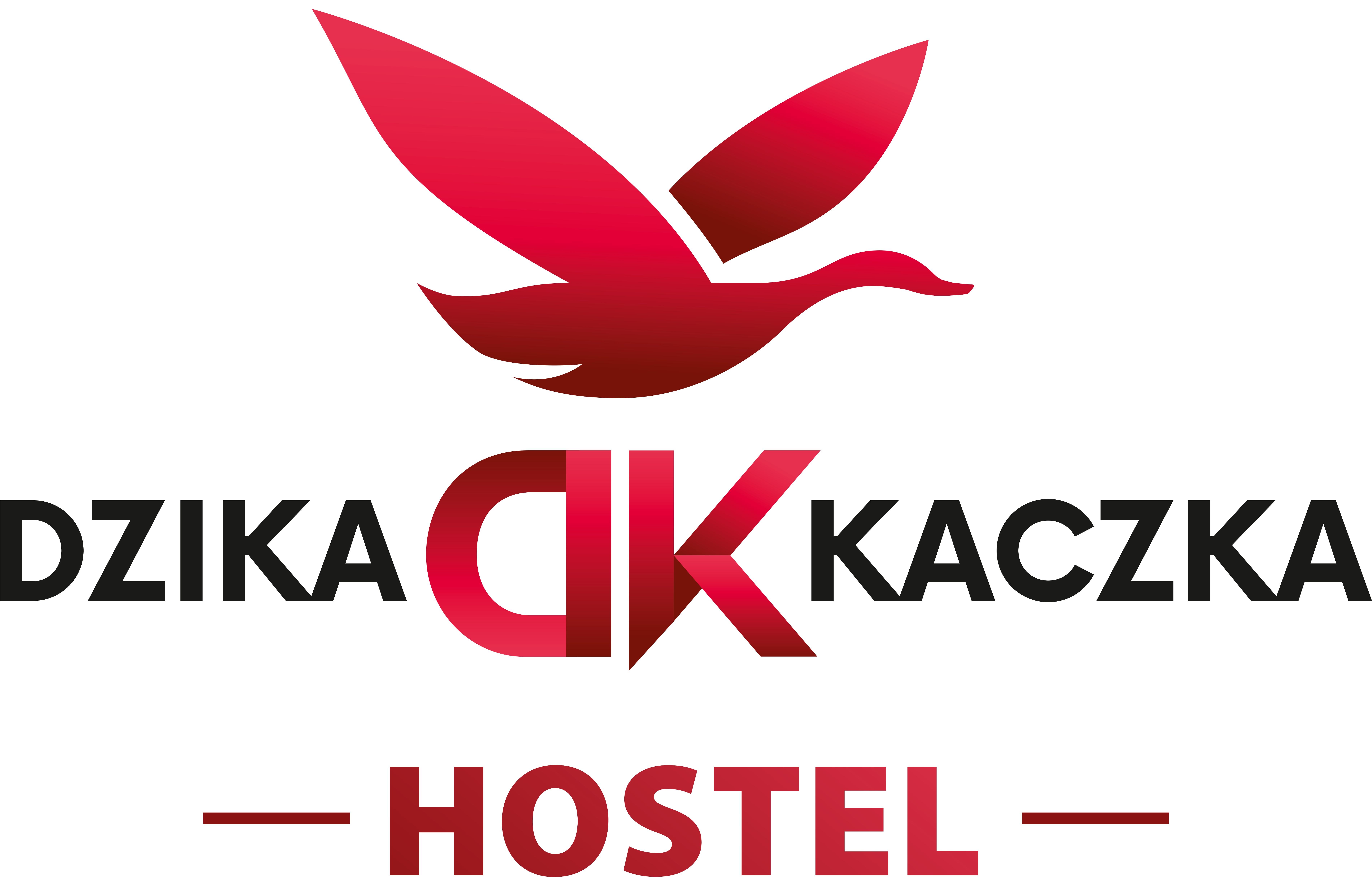 Hostel Dzika Kaczka